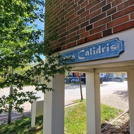 Haus Calidris Whg 02 Böhl